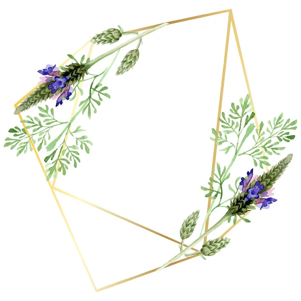 Blue violet lavender floral botanical flower. Wild spring leaf wildflower isolated. Watercolor background illustration set. Watercolour drawing fashion aquarelle. Frame border ornament square.