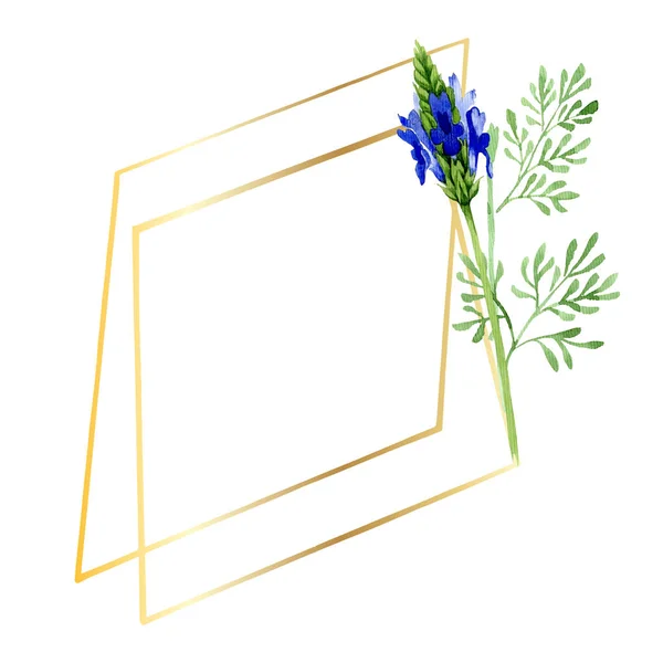 Blue violet lavender floral botanical flower. Wild spring leaf wildflower isolated. Watercolor background illustration set. Watercolour drawing fashion aquarelle. Frame border ornament square.