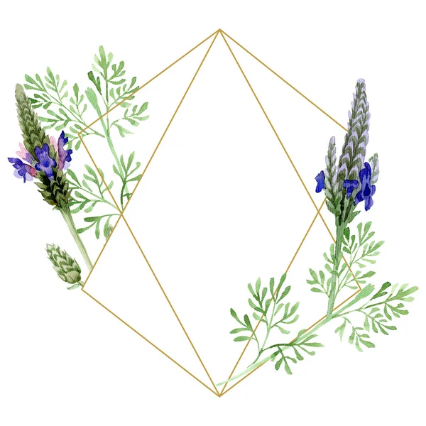 Blue violet lavender floral botanical flower. Wild spring leaf wildflower isolated. Watercolor background illustration set. Watercolour drawing fashion aquarelle. Frame border ornament square.