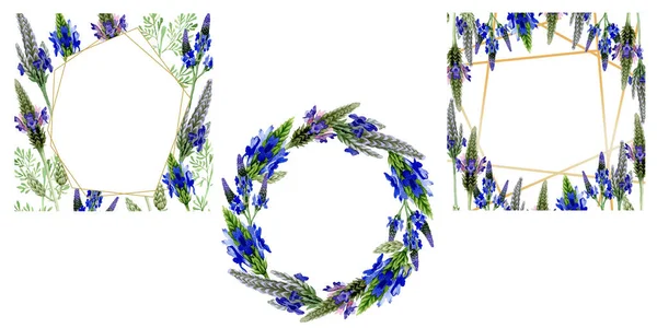 Blue violet lavender floral botanical flower. Wild spring leaf wildflower isolated. Watercolor background illustration set. Watercolour drawing fashion aquarelle. Frame border ornament square.