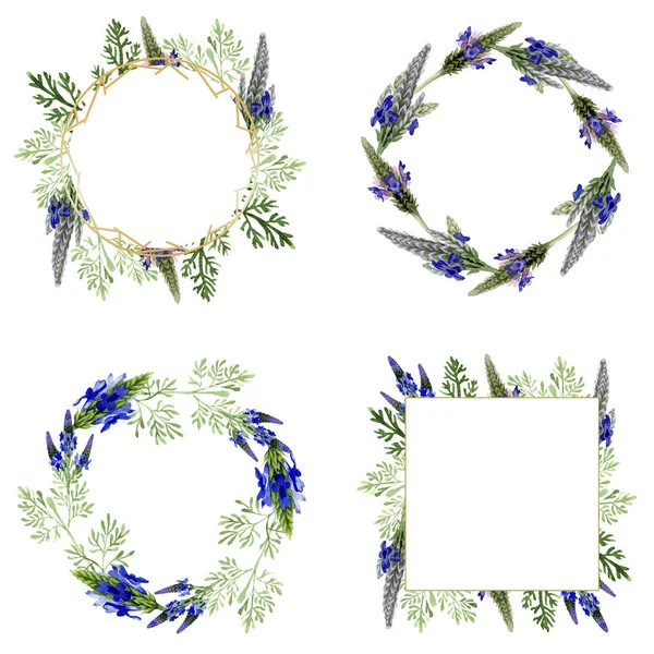 Blue violet lavender floral botanical flower. Wild spring leaf wildflower isolated. Watercolor background illustration set. Watercolour drawing fashion aquarelle. Frame border ornament square.