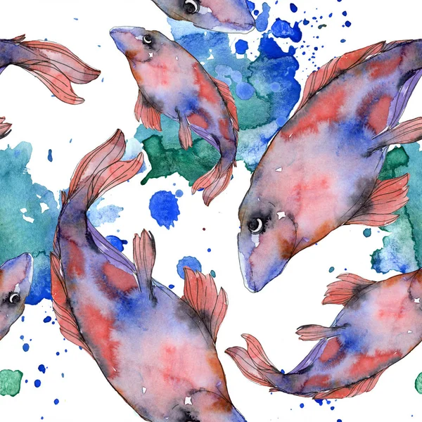 Spotted aquatic underwater colorful fish set. Red sea and exotic fishes inside. Watercolor illustration set. Watercolour drawing fashion aquarelle. Seamless background pattern. Fabric wallpaper print.