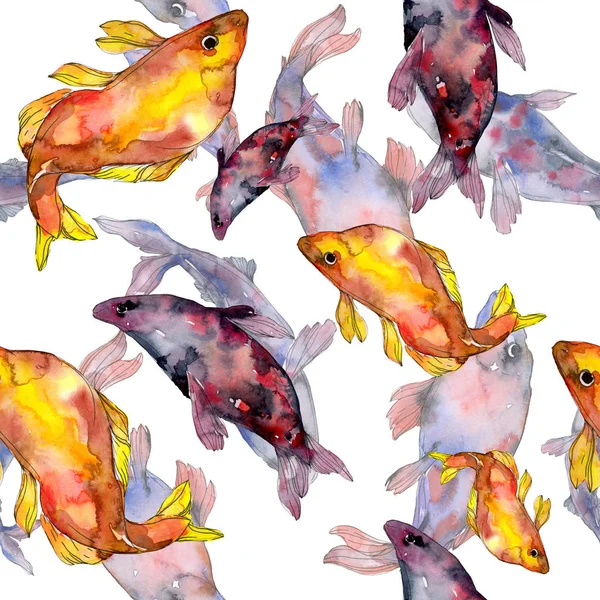 Spotted Aquatic Underwater Colorfull Fish Set Laut Merah Dan Ikan — Stok Foto