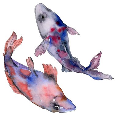 Benekli su sualtı renkli tropikal balık seti. Kızıldeniz ve egzotik balıkları içinde. Suluboya arka plan ayarlamak. Suluboya çizim moda aquarelle. İzole balık resim öğesi.