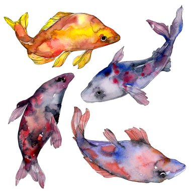 Benekli su sualtı renkli tropikal balık seti. Kızıldeniz ve egzotik balıkları içinde. Suluboya arka plan ayarlamak. Suluboya çizim moda aquarelle. İzole balık resim öğesi.
