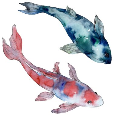 Benekli su sualtı renkli tropikal balık seti. Kızıldeniz ve egzotik balıkları içinde. Suluboya arka plan ayarlamak. Suluboya çizim moda aquarelle. İzole balık resim öğesi.