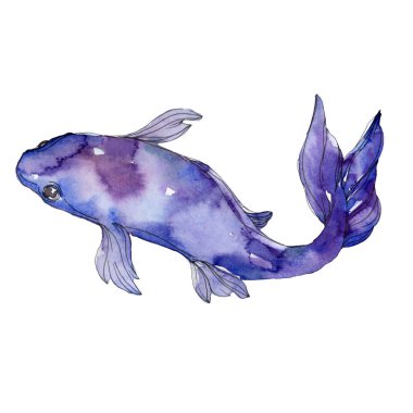 Su sualtı renkli tropikal balık seti. Kızıldeniz ve egzotik balıkları içinde: Goldfish. Suluboya arka plan ayarlamak. Suluboya çizim moda aquarelle. İzole goldfish illüstrasyon öğesi.