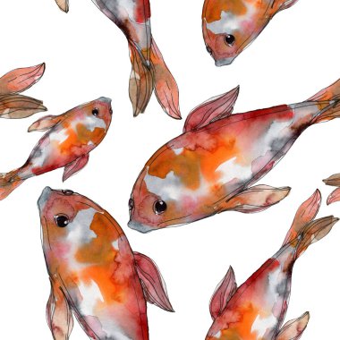 Su Balık seti. Kızıldeniz ve egzotik balıkları içinde: Goldfish. Suluboya resim kümesi. Suluboya çizim moda aquarelle. Sorunsuz arka plan deseni. Kumaş duvar kağıdı yazdırma doku.