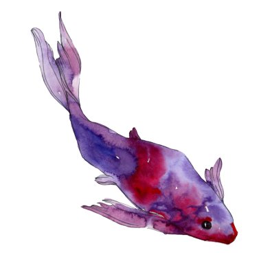 Su sualtı renkli tropikal balık seti. Kızıldeniz ve egzotik balıkları içinde: Goldfish. Suluboya arka plan ayarlamak. Suluboya çizim moda aquarelle. İzole goldfish illüstrasyon öğesi.