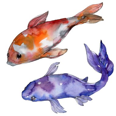 Su sualtı renkli tropikal balık seti. Kızıldeniz ve egzotik balıkları içinde: Goldfish. Suluboya arka plan ayarlamak. Suluboya çizim moda aquarelle. İzole goldfish illüstrasyon öğesi.