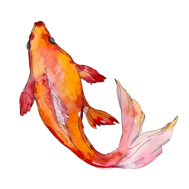 Su sualtı renkli tropikal balık seti. Kızıldeniz ve egzotik balıkları içinde: Goldfish. Suluboya arka plan ayarlamak. Suluboya çizim moda aquarelle. İzole goldfish illüstrasyon öğesi.