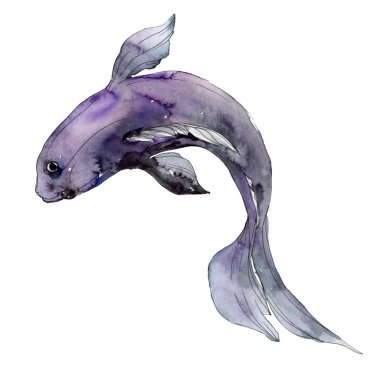 Su sualtı renkli tropikal balık seti. Kızıldeniz ve egzotik balıkları içinde: Goldfish. Suluboya arka plan ayarlamak. Suluboya çizim moda aquarelle. İzole goldfish illüstrasyon öğesi.