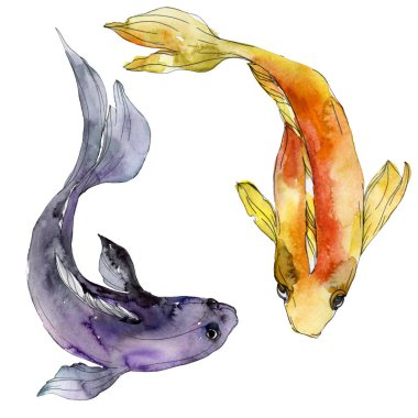 Su sualtı renkli tropikal balık seti. Kızıldeniz ve egzotik balıkları içinde: Goldfish. Suluboya arka plan ayarlamak. Suluboya çizim moda aquarelle. İzole goldfish illüstrasyon öğesi.