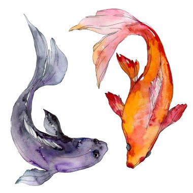 Su sualtı renkli tropikal balık seti. Kızıldeniz ve egzotik balıkları içinde: Goldfish. Suluboya arka plan ayarlamak. Suluboya çizim moda aquarelle. İzole goldfish illüstrasyon öğesi.