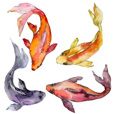 Su sualtı renkli tropikal balık seti. Kızıldeniz ve egzotik balıkları içinde: Goldfish. Suluboya arka plan ayarlamak. Suluboya çizim moda aquarelle. İzole goldfish illüstrasyon öğesi.