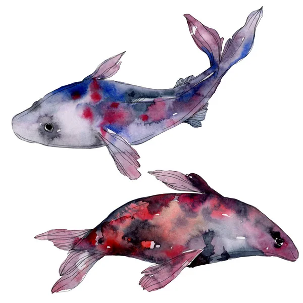 Spotted Aquatic Underwater Colorful Tropical Fish Set Laut Merah Dan — Stok Foto