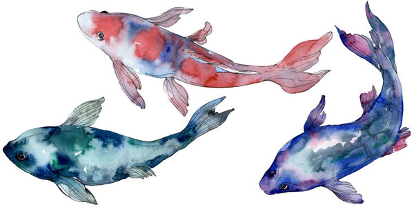 Spotted aquatic underwater colorful tropical fish set. Red sea and exotic fishes inside. Watercolor background set. Watercolour drawing fashion aquarelle. Isolated fish illustration element.