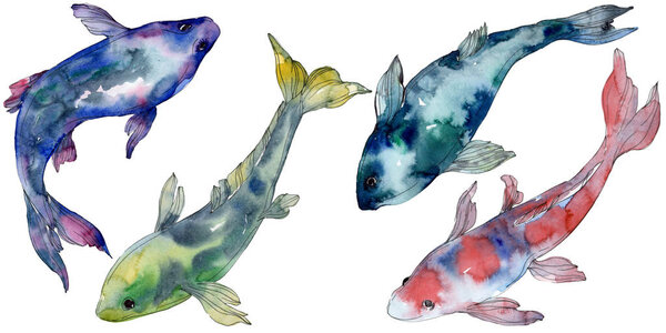 Spotted aquatic underwater colorful tropical fish set. Red sea and exotic fishes inside. Watercolor background set. Watercolour drawing fashion aquarelle. Isolated fish illustration element.