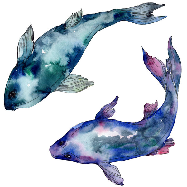 Spotted aquatic underwater colorful tropical fish set. Red sea and exotic fishes inside. Watercolor background set. Watercolour drawing fashion aquarelle. Isolated fish illustration element.