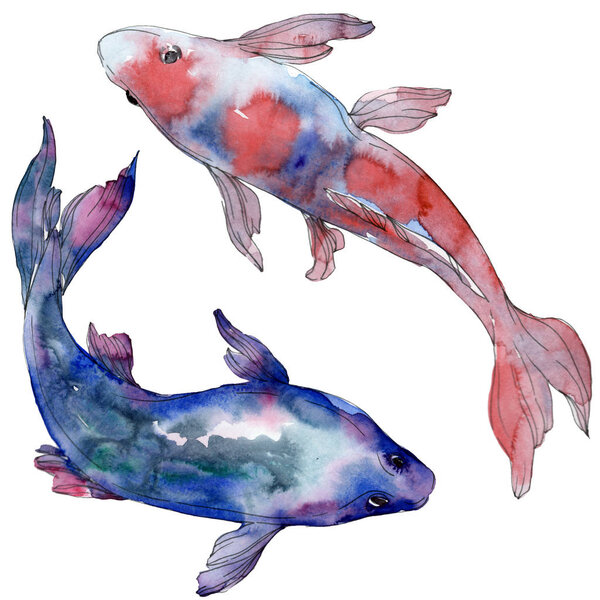 Spotted aquatic underwater colorful tropical fish set. Red sea and exotic fishes inside. Watercolor background set. Watercolour drawing fashion aquarelle. Isolated fish illustration element.