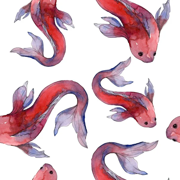 Juego Peces Acuáticos Mar Rojo Peces Exóticos Interior Goldfish Juego — Foto de Stock
