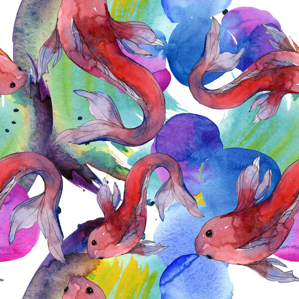 Aquatic fish set. Red sea and exotic fishes inside: Goldfish. Watercolor illustration set. Watercolour drawing fashion aquarelle. Seamless background pattern. Fabric wallpaper print texture.