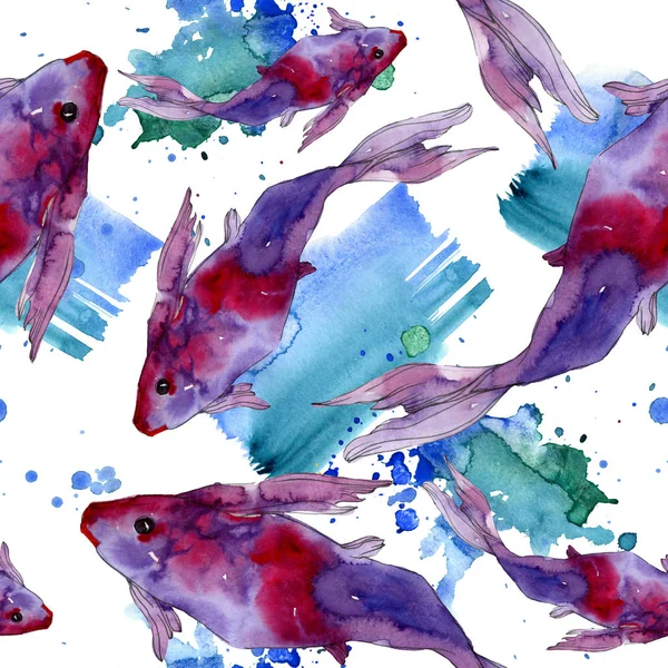 Su Balık seti. Kızıldeniz ve egzotik balıkları içinde: Goldfish. Suluboya resim kümesi. Suluboya çizim moda aquarelle. Sorunsuz arka plan deseni. Kumaş duvar kağıdı yazdırma doku.