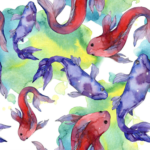 Aquatic fish set. Red sea and exotic fishes inside: Goldfish. Watercolor illustration set. Watercolour drawing fashion aquarelle. Seamless background pattern. Fabric wallpaper print texture.