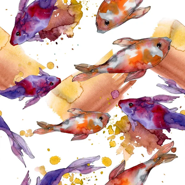 Aquatic Fish Set Red Sea Exotic Fishes Goldfish Watercolor Illustration — Stock Photo, Image