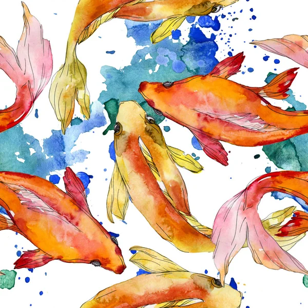 Aquatic Fish Set Red Sea Exotic Fishes Goldfish Watercolor Illustration — Stock Photo, Image