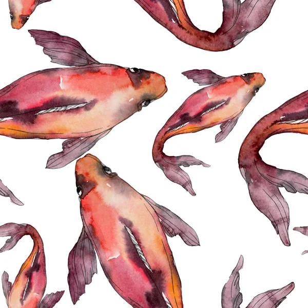 Aquatic Fish Set Red Sea Exotic Fishes Goldfish Watercolor Illustration — Stock Photo, Image