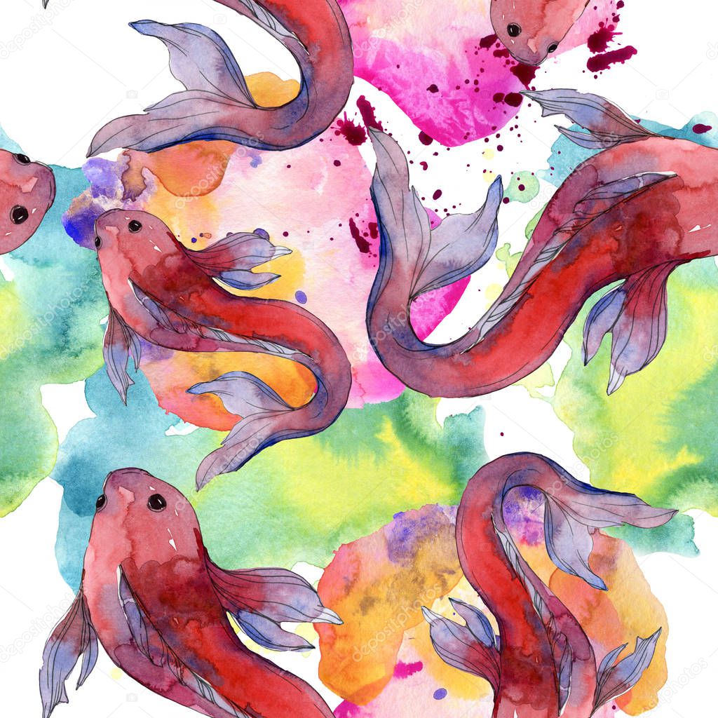 Aquatic fish set. Red sea and exotic fishes inside: Goldfish. Watercolor illustration set. Watercolour drawing fashion aquarelle. Seamless background pattern. Fabric wallpaper print texture.