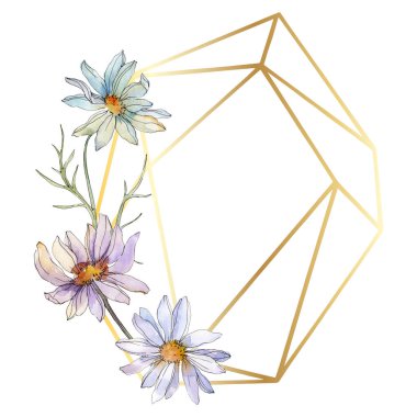 Chamomiles ve papatya ile yeşil yaprakları suluboya resim hazır, çerçeve kenarlık süsleme kopya alanı ile