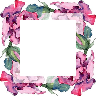 Mor gül botanik çiçek. Vahşi bahar yaprak izole kır çiçeği. Suluboya arka plan illüstrasyon küme. Suluboya çizim moda aquarelle. Çerçeve kenarlığı süsleme Meydanı.