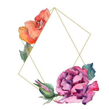 Kırmızı ve pembe Gül botanik çiçek. Vahşi bahar yaprak izole kır çiçeği. Suluboya arka plan illüstrasyon küme. Suluboya çizim moda aquarelle. Çerçeve kenarlığı süsleme Meydanı.