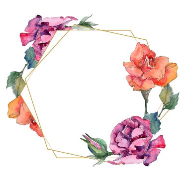 Kırmızı ve pembe Gül botanik çiçek. Vahşi bahar yaprak izole kır çiçeği. Suluboya arka plan illüstrasyon küme. Suluboya çizim moda aquarelle. Çerçeve kenarlığı süsleme Meydanı.