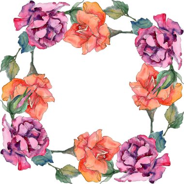 Kırmızı ve pembe Gül botanik çiçek. Vahşi bahar yaprak izole kır çiçeği. Suluboya arka plan illüstrasyon küme. Suluboya çizim moda aquarelle. Çerçeve kenarlığı süsleme Meydanı.