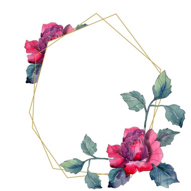 Kırmızı ve pembe Gül botanik çiçek. Vahşi bahar yaprak izole kır çiçeği. Suluboya arka plan illüstrasyon küme. Suluboya çizim moda aquarelle. Çerçeve kenarlığı süsleme Meydanı.