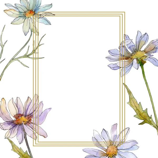 Chamomiles Daisies Green Leaves Watercolor Illustration Set Frame Border Ornament — Stock Photo, Image