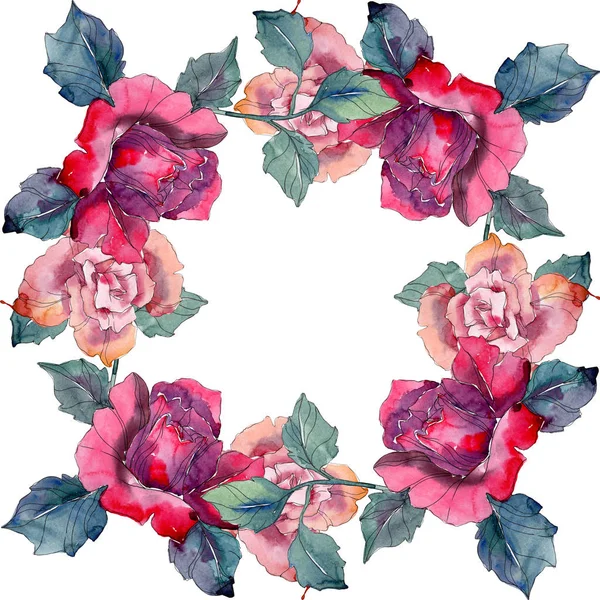 Red and pink rose floral botanical flower. Wild spring leaf wildflower isolated. Watercolor background illustration set. Watercolour drawing fashion aquarelle. Frame border ornament square.
