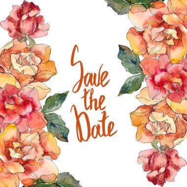 Kırmızı ve turuncu gül botanik çiçek. Vahşi bahar yaprak izole kır çiçeği. Suluboya arka plan illüstrasyon küme. Suluboya çizim moda aquarelle izole. Çerçeve kenarlığı süsleme Meydanı.