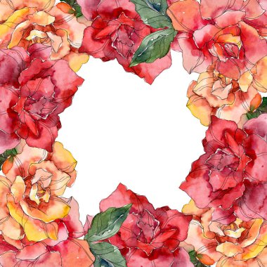 Kırmızı ve turuncu gül botanik çiçek. Vahşi bahar yaprak izole kır çiçeği. Suluboya arka plan illüstrasyon küme. Suluboya çizim moda aquarelle izole. Çerçeve kenarlığı süsleme Meydanı.