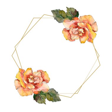 Turuncu gül botanik çiçek. Vahşi bahar yaprak izole kır çiçeği. Suluboya arka plan illüstrasyon küme. Suluboya çizim moda aquarelle izole. Çerçeve kenarlığı süsleme Meydanı.