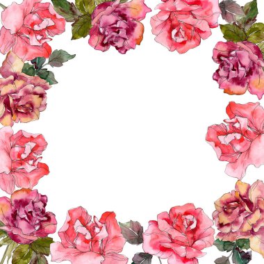 Pembe Gül botanik çiçek. Vahşi bahar yaprak izole kır çiçeği. Suluboya arka plan illüstrasyon küme. Suluboya çizim moda aquarelle izole. Çerçeve kenarlığı süsleme Meydanı.
