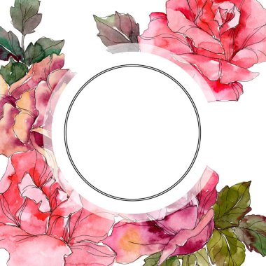 Pembe Gül botanik çiçek. Vahşi bahar yaprak izole kır çiçeği. Suluboya arka plan illüstrasyon küme. Suluboya çizim moda aquarelle izole. Çerçeve kenarlığı süsleme Meydanı.