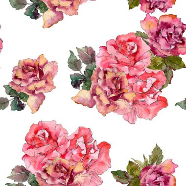 Pembe Gül botanik çiçek. Vahşi bahar yaprak izole. Suluboya resim kümesi. Suluboya çizim moda aquarelle. Sorunsuz arka plan deseni. Kumaş duvar kağıdı yazdırma doku.