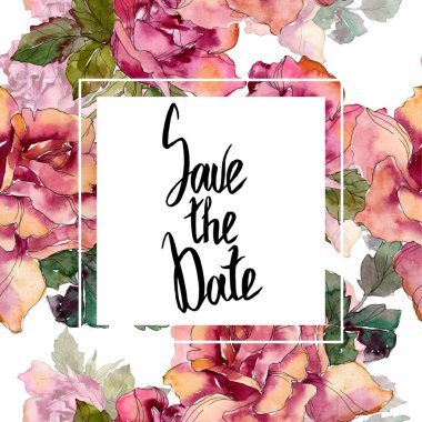 Pembe Gül botanik çiçek. Vahşi bahar yaprak izole kır çiçeği. Suluboya arka plan illüstrasyon küme. Suluboya çizim moda aquarelle izole. Çerçeve kenarlığı süsleme Meydanı.