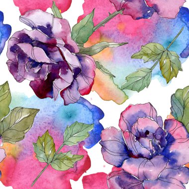Mavi ve Mor gül botanik çiçek. Vahşi bahar yaprak izole. Suluboya resim kümesi. Suluboya çizim aquarelle. Sorunsuz arka plan deseni. Kumaş duvar kağıdı yazdırma doku.