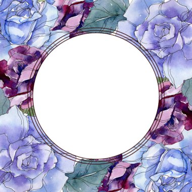 Gül botanik çiçek. Vahşi bahar yaprak izole kır çiçeği. Suluboya arka plan illüstrasyon küme. Suluboya çizim moda aquarelle. Çerçeve kenarlığı süsleme Meydanı.