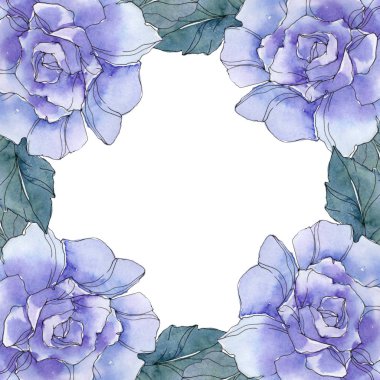 Gül botanik çiçek. Vahşi bahar yaprak izole kır çiçeği. Suluboya arka plan illüstrasyon küme. Suluboya çizim moda aquarelle. Çerçeve kenarlığı süsleme Meydanı.